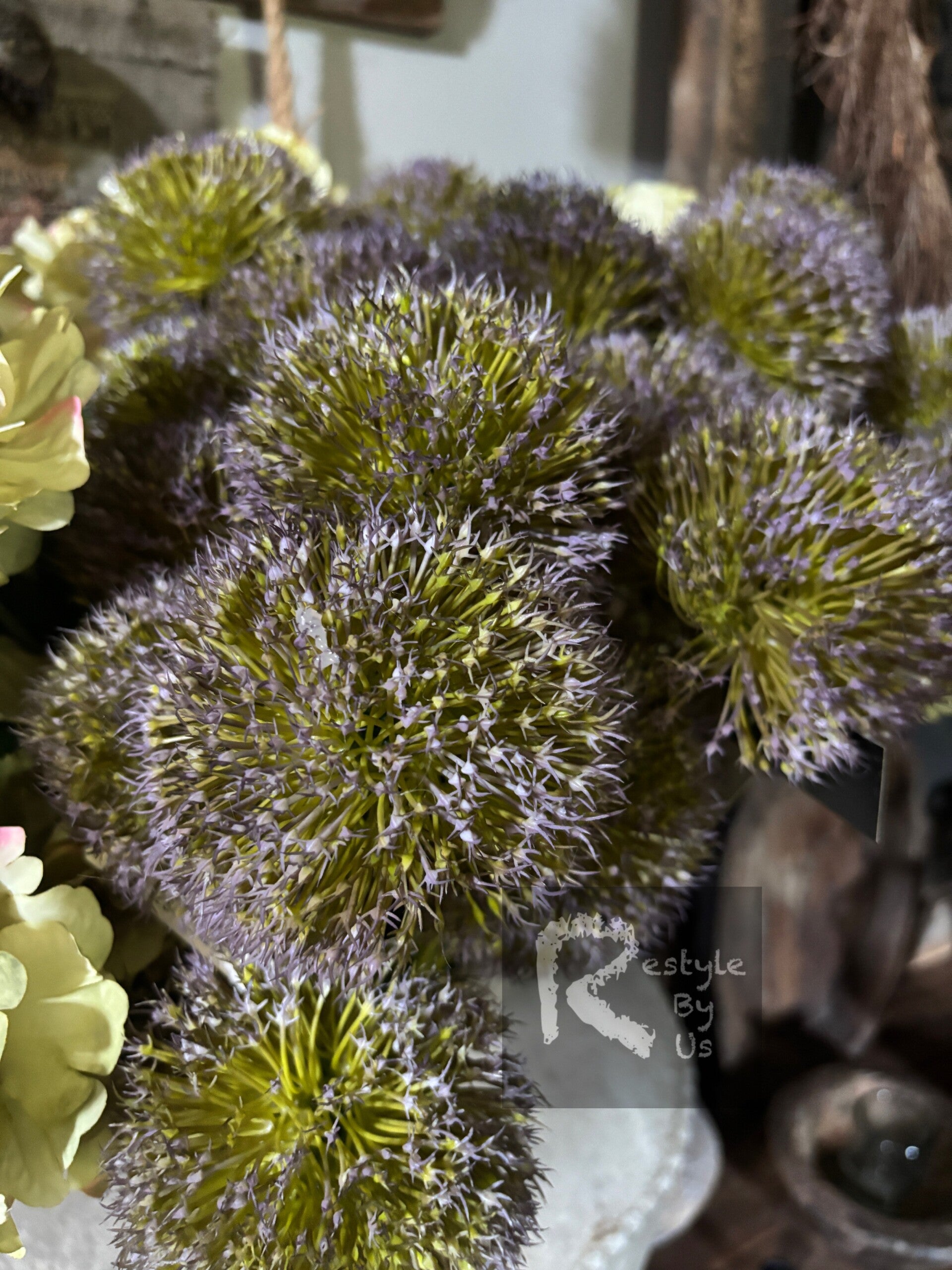 Aliumbol (uienbol) paars L