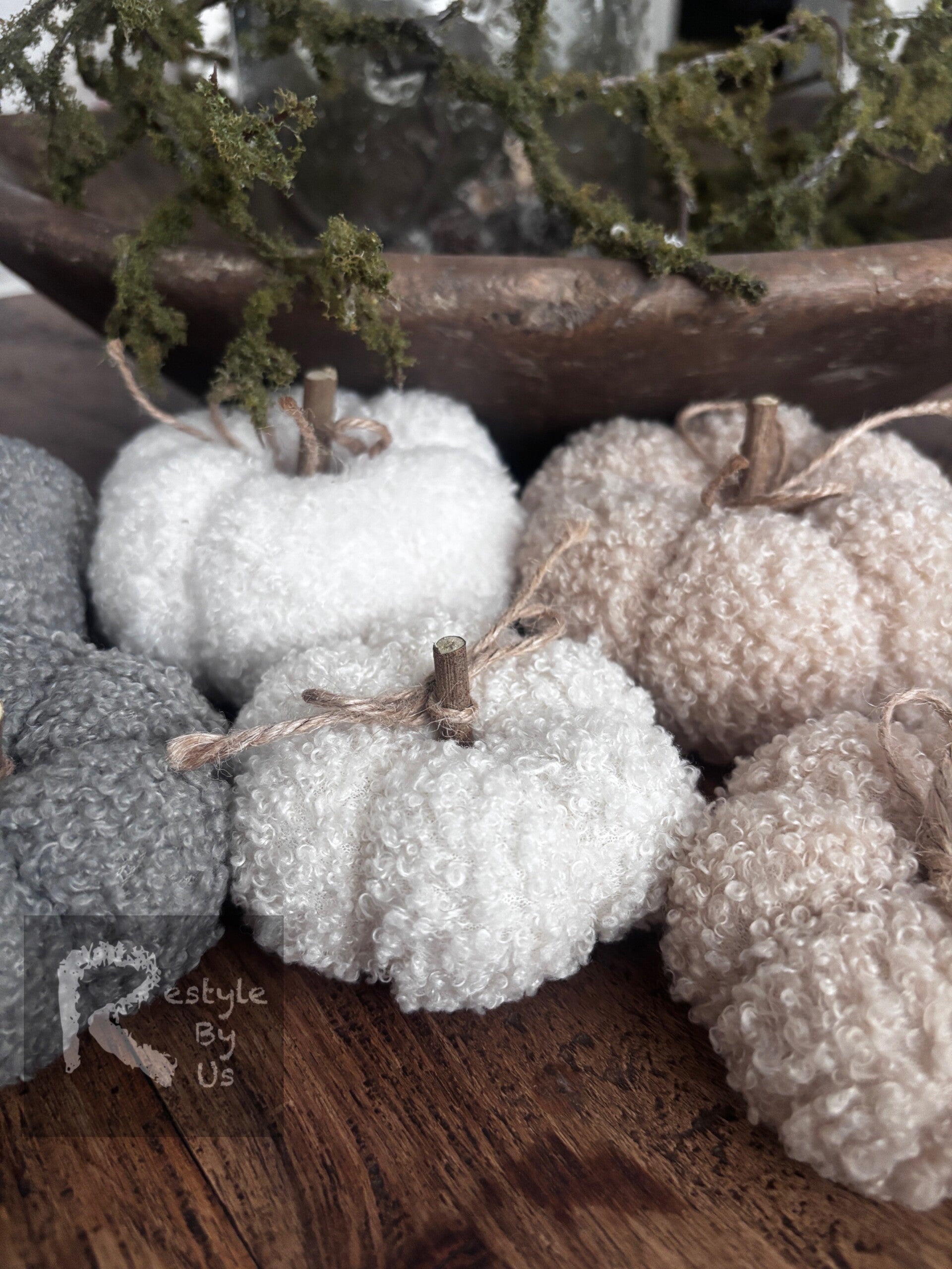 Pompoenen van Teddy met houten steel