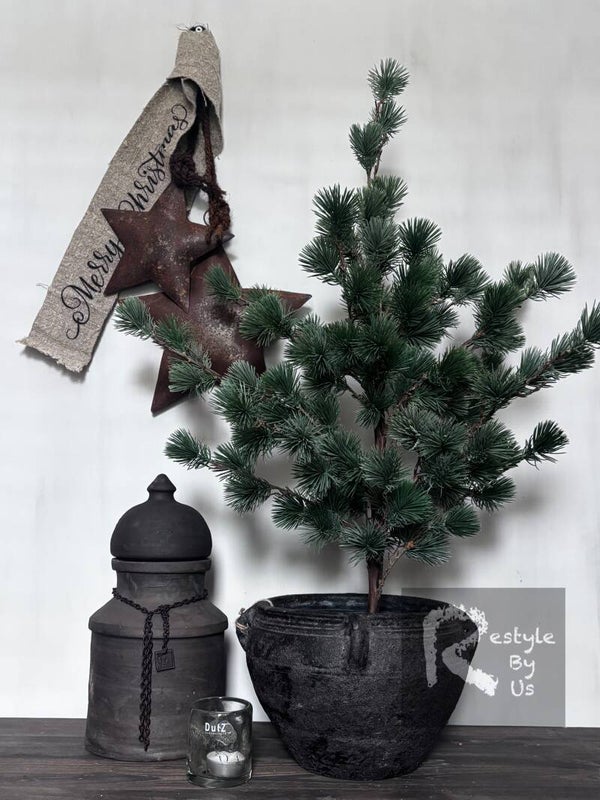 Larix boomje S 80cm