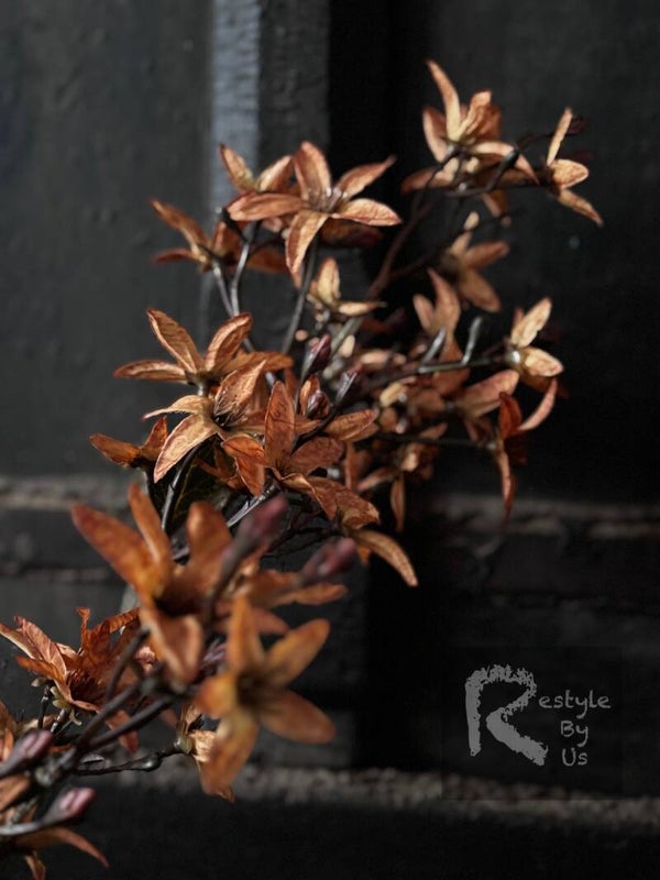 magnolia stel orange landelijke 92cm