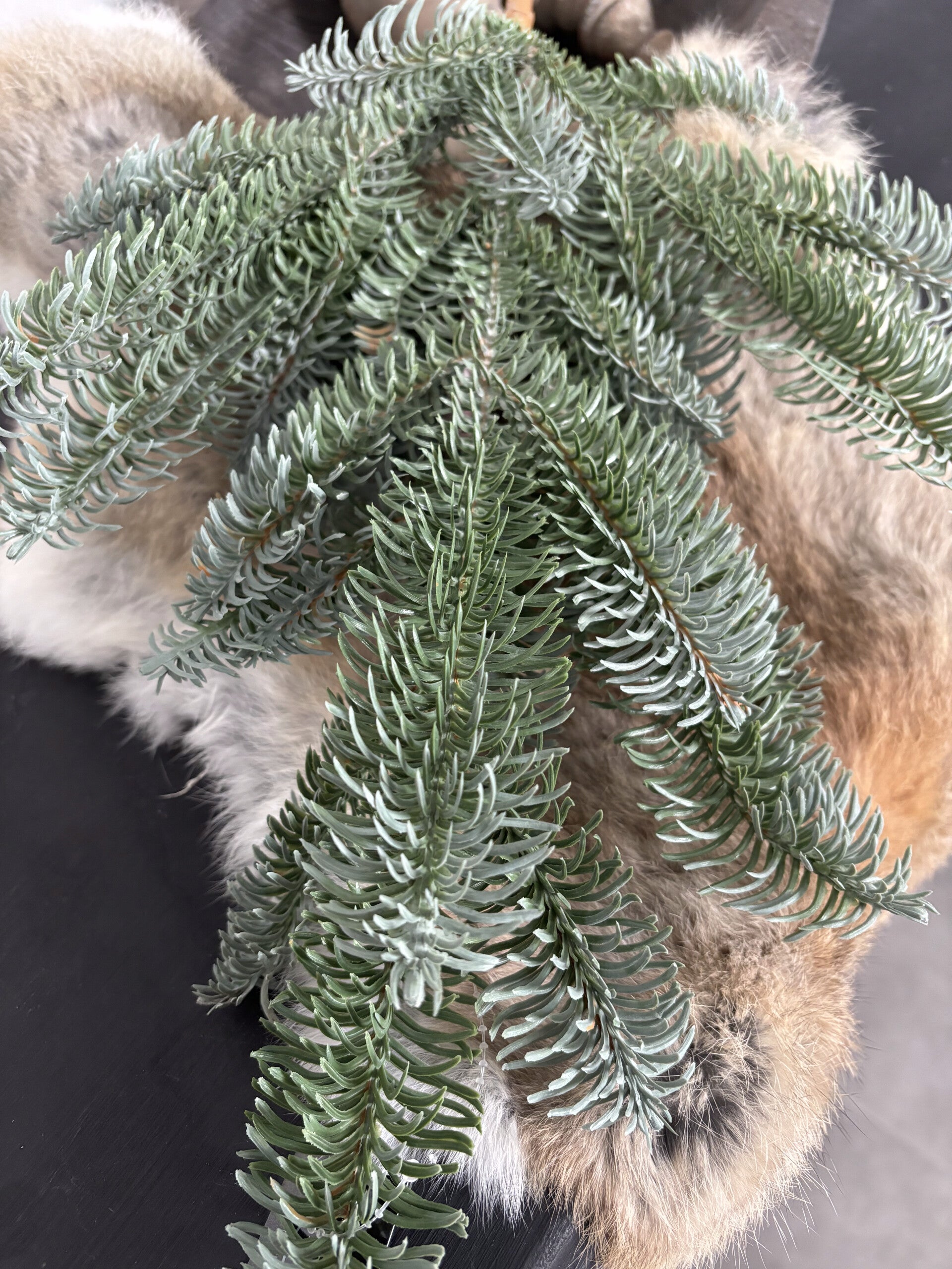 Nobilis tak 90cm kunst