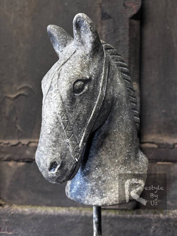 Paardenhoofd op voet