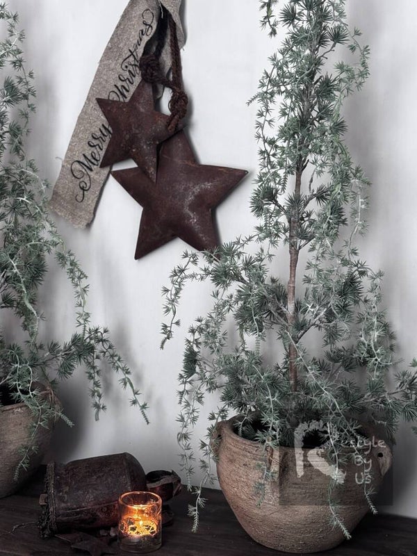Seder boompje 90cm