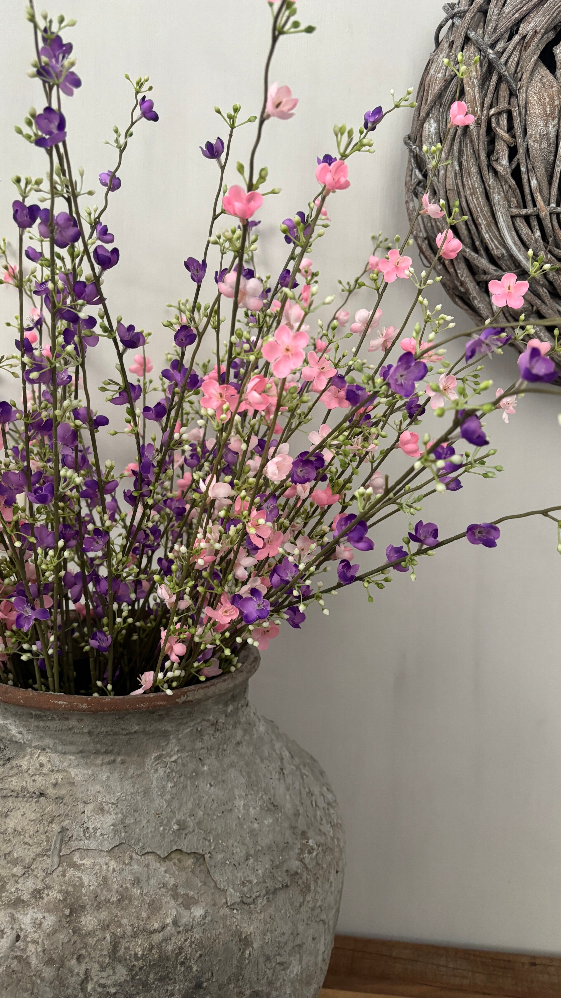 Spring flower purple