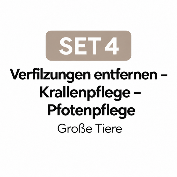 SET 4 groß
