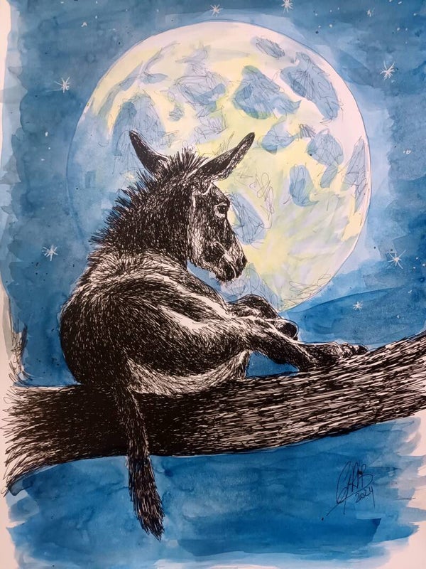 Âne et la lune - Impression d'Art Numérotée