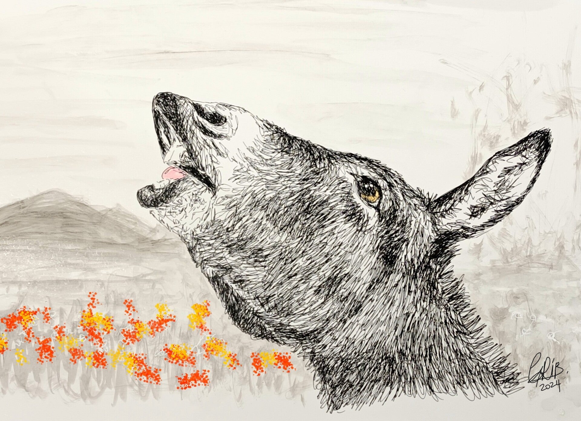 Ane qui brait - Impression d'Art Numérotée