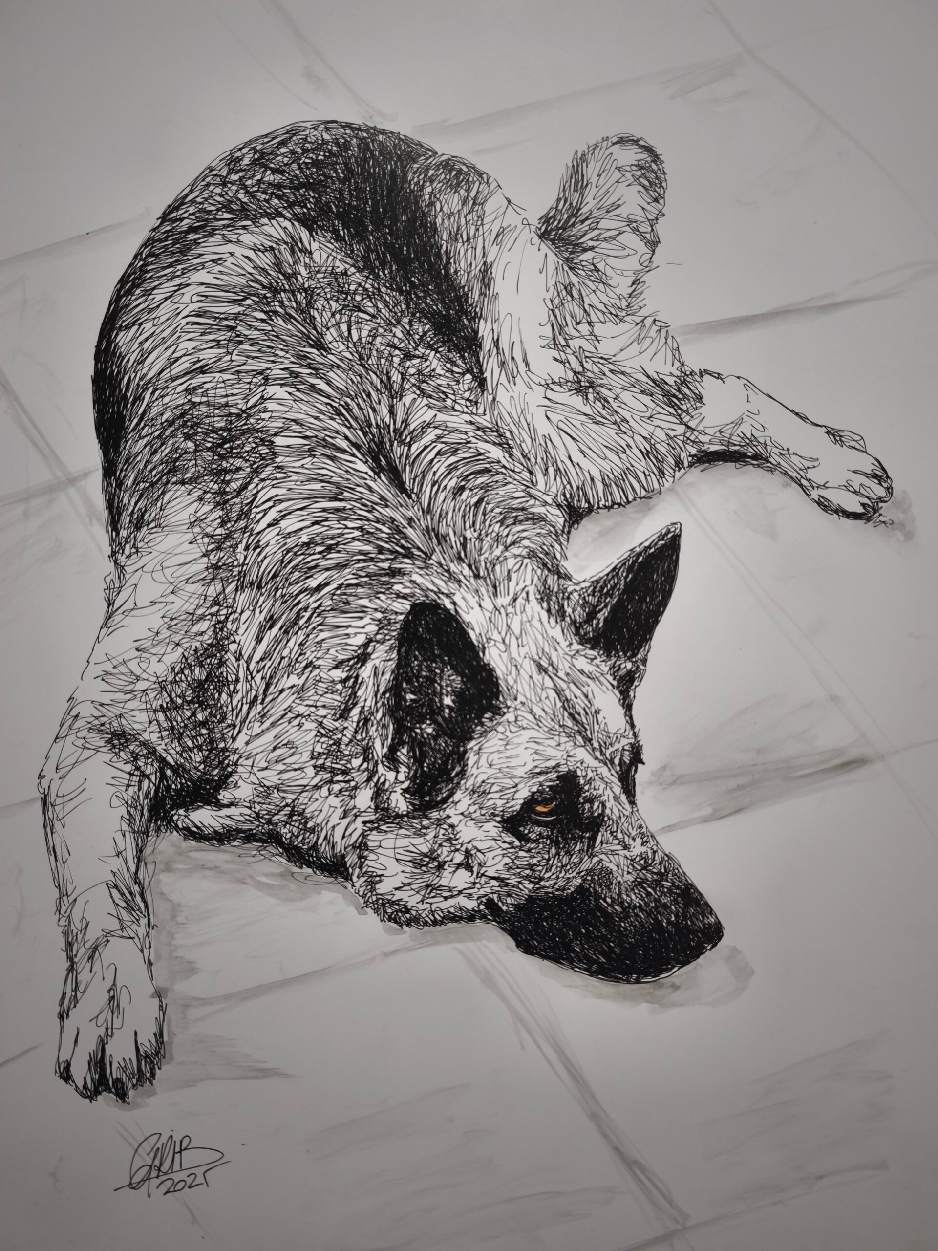 Berger Allemand Max - Impression d'Art Numérotée