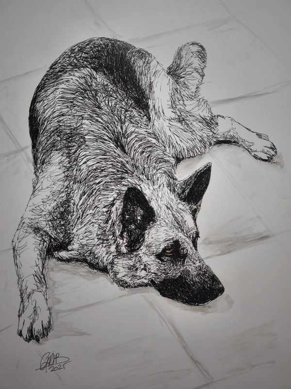 Berger Allemand Max - Impression d'Art Numérotée