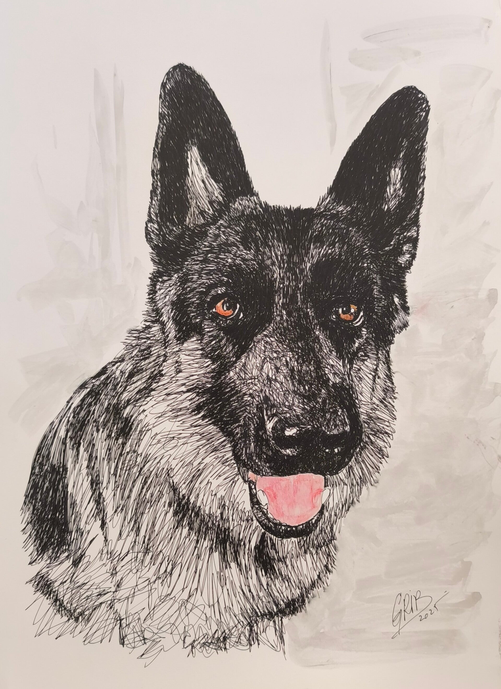 Berger Allemand Steve - Impression d'Art Numérotée