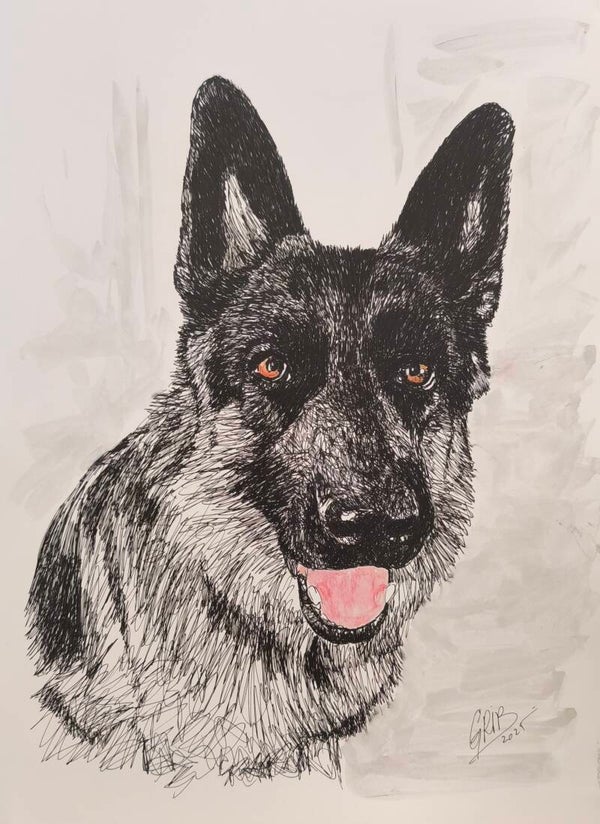 Berger Allemand Steve - Impression d'Art Numérotée