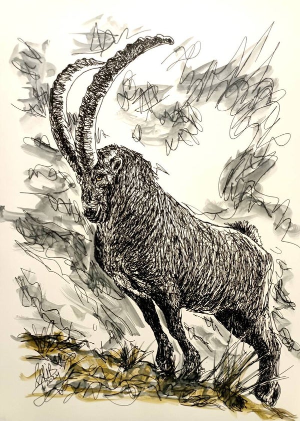 Le Bouquetin - Oeuvre Originale ou Impression d'Art Numérotée