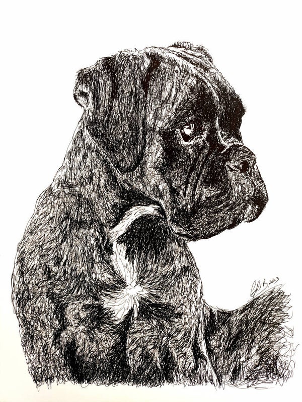 Boxer - Impression d'Art Numérotée