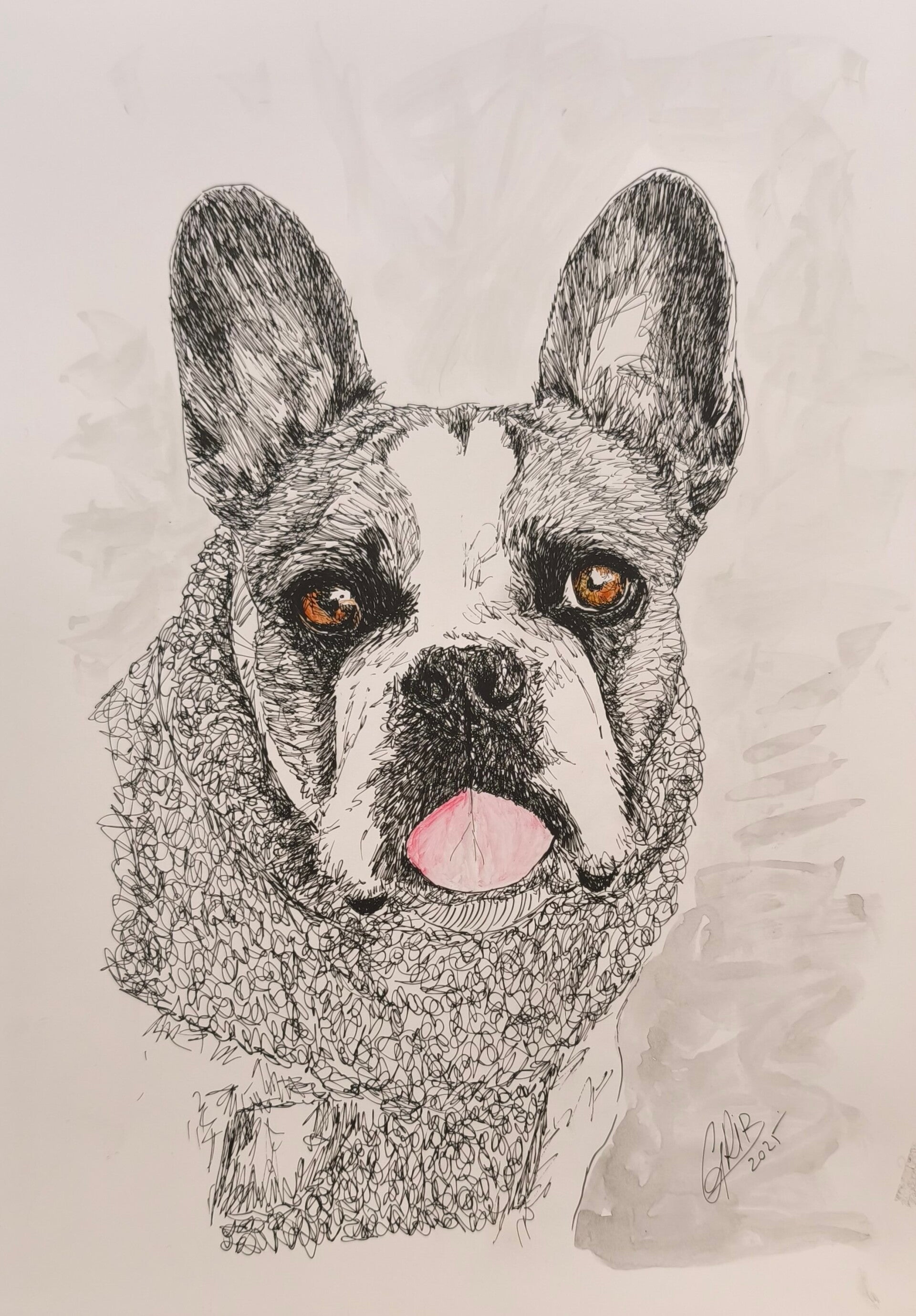 Bulldog Français Joe - Impression d'Art Numérotée