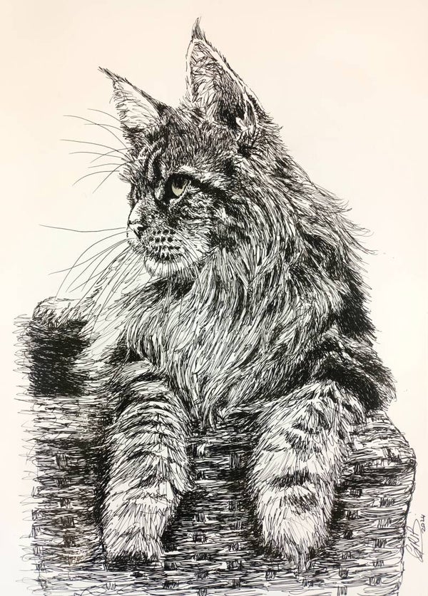 Maine Coon - Impression d'Art Numérotée