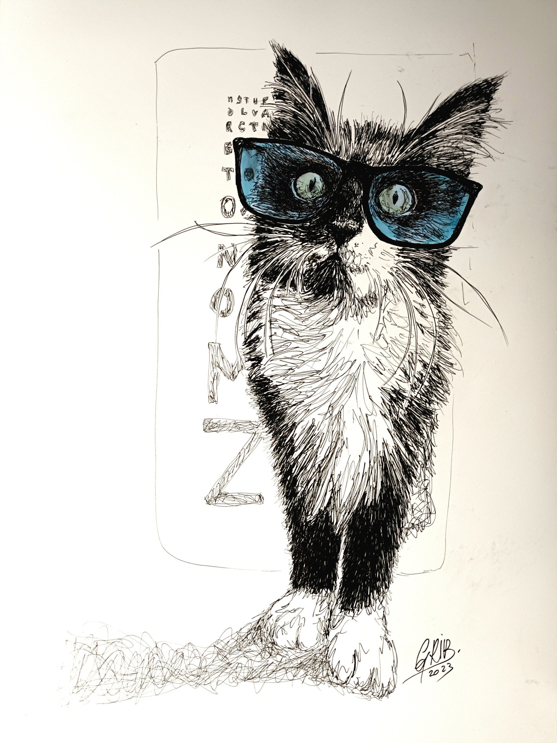 Chat Ophtalmo - Impression d'Art Numérotée