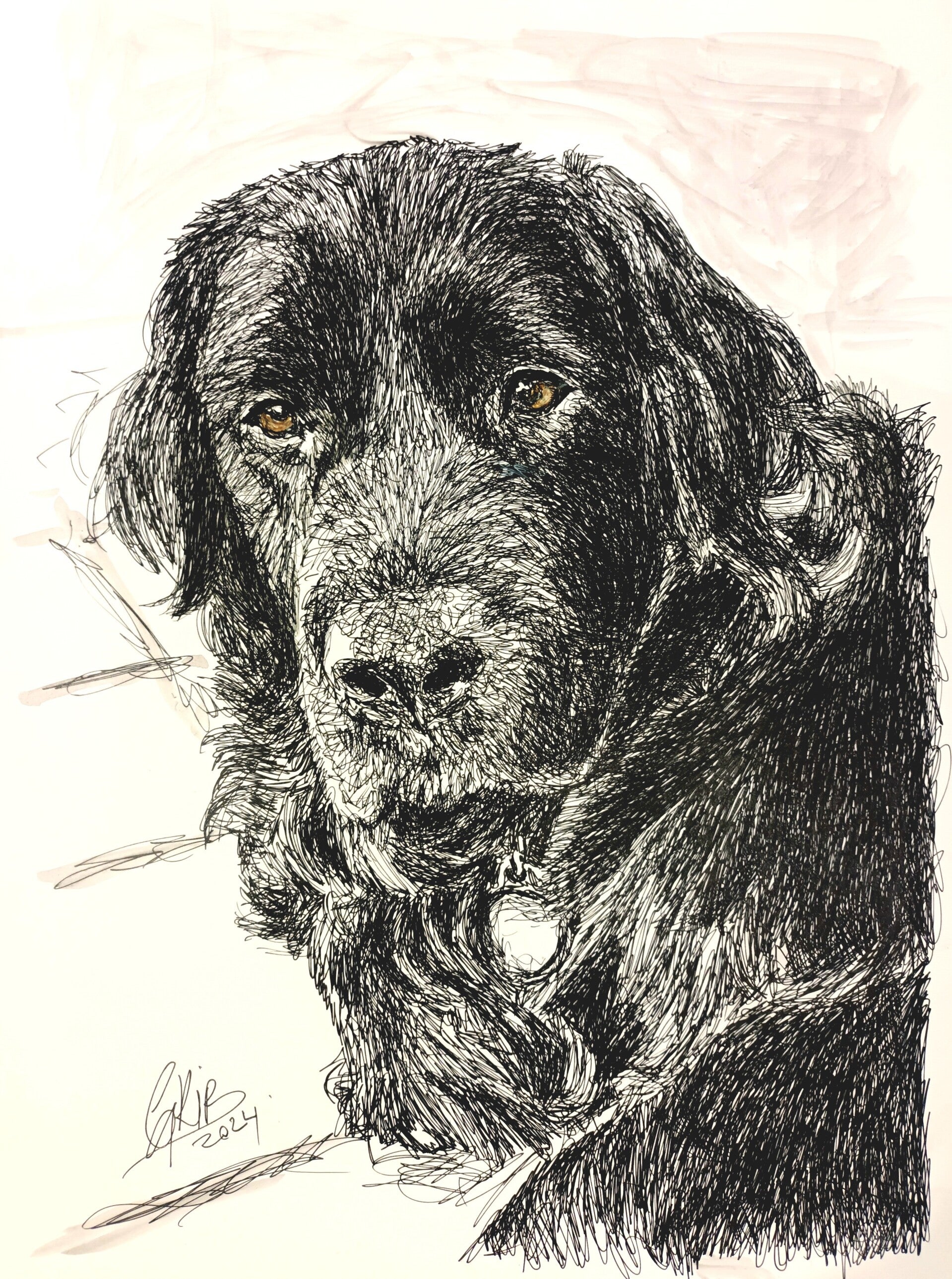 Chien noir - Impression d'Art Numérotée