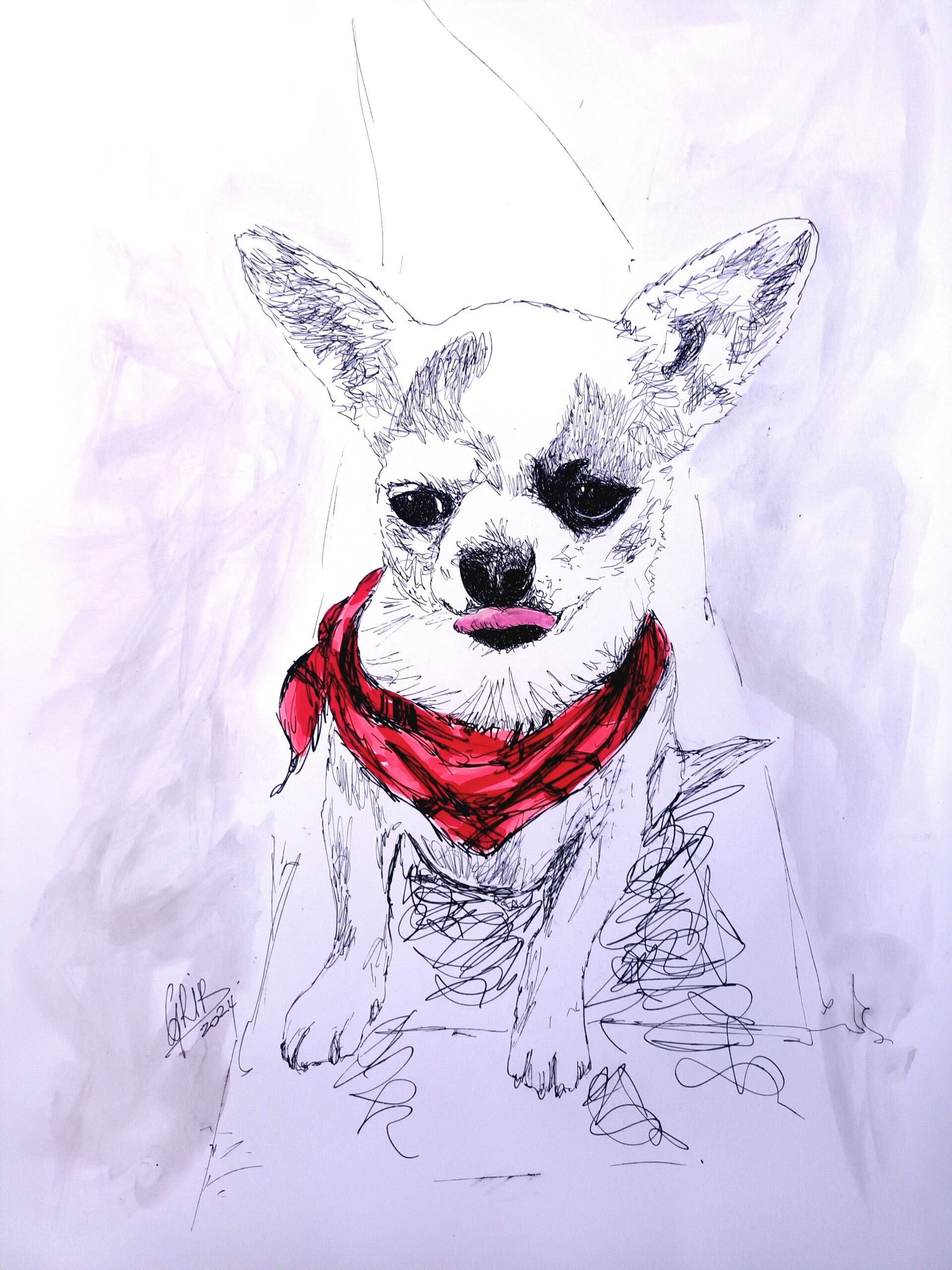 Chihuahua foulard - Impression d'Art Numérotée
