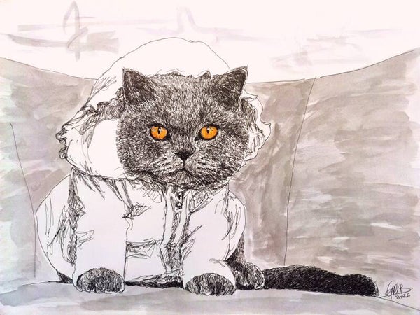 Chat pilou pilou - Impression d'Art Numérotée