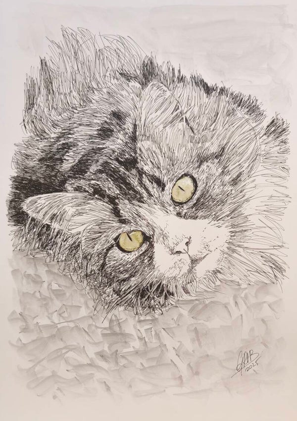 Léo le Chat - Impression d'Art Numérotée