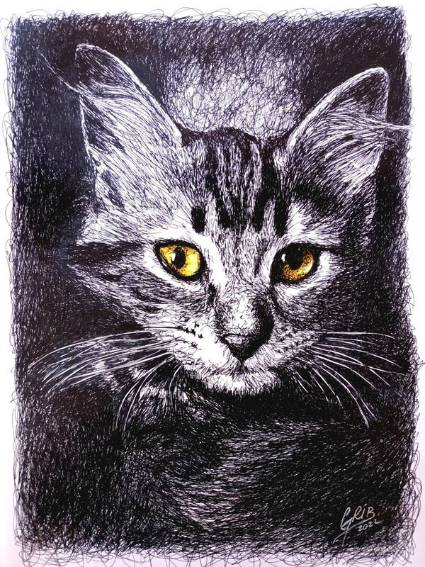 Le Chat Mignon - Impression d'Art Numérotée