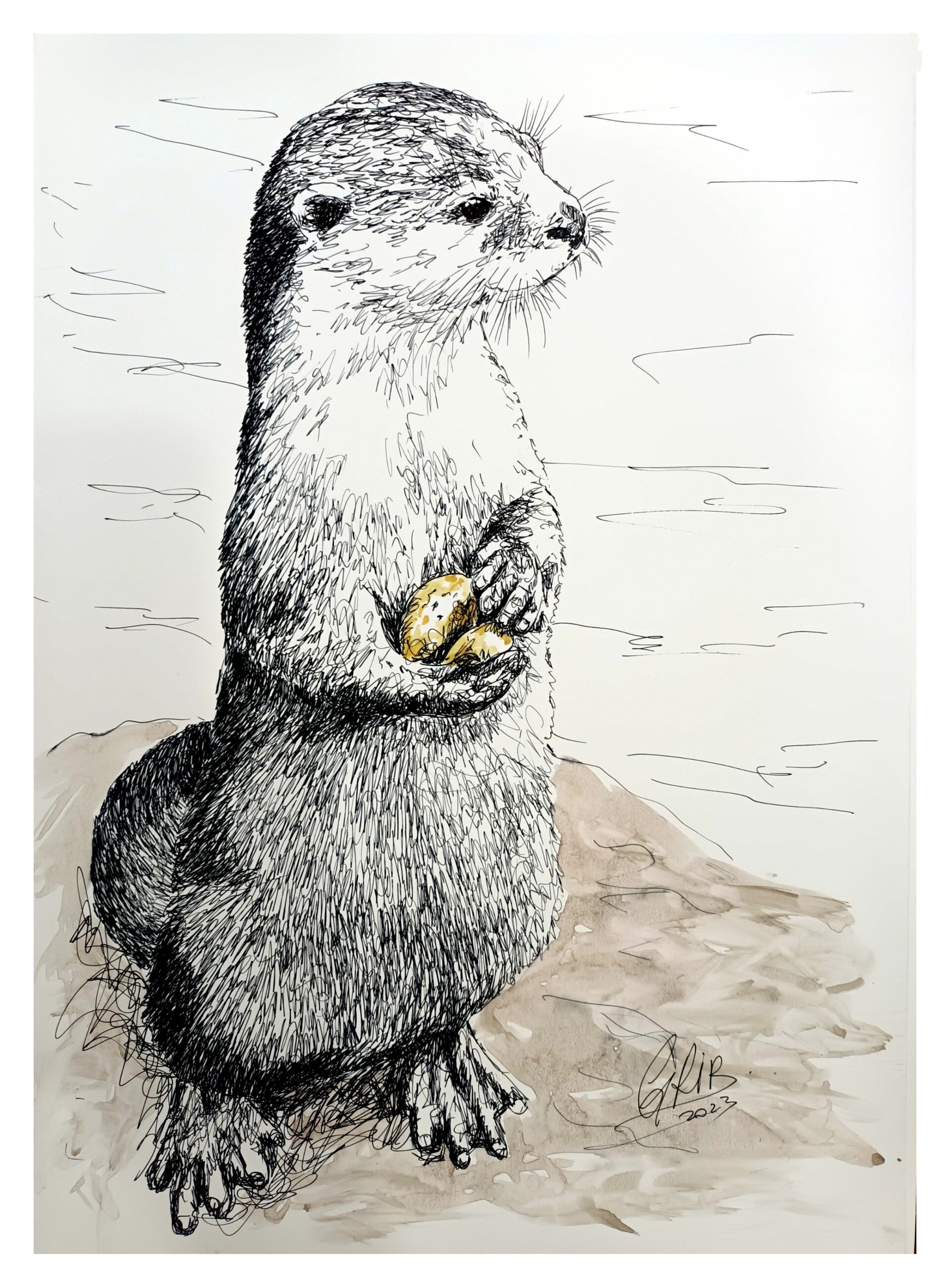 La Loutre aux Pierres - Impression d'Art Numérotée