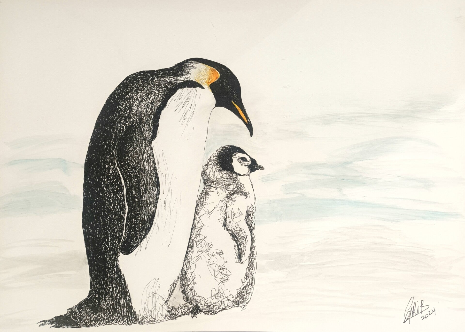 Manchots Royaux - Impression d'Art Numérotée