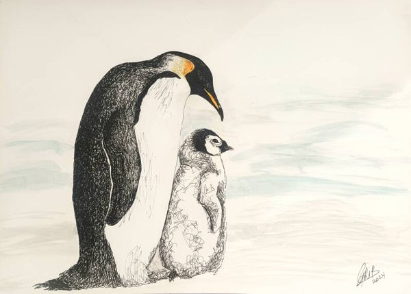 Manchots Royaux - Impression d'Art Numérotée