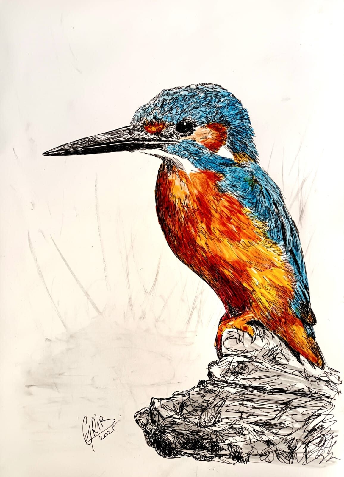 Le martin-pêcheur - Impression d'Art Numérotée