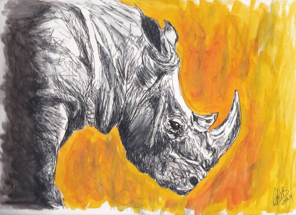 Rhinocéros - Impression d'Art Numérotée - Papier ou Toile