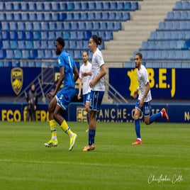fcsm-2-fc-sens-17-standard.jpg