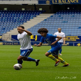 fcsm-2-fc-sens-24-standard.jpg