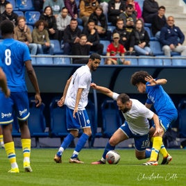 fcsm-2-fc-sens-26-standard.jpg