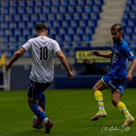 fcsm-2-fc-sens-29-standard.jpg