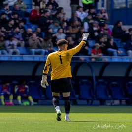 fcsm-2-fc-sens-47-standard.jpg
