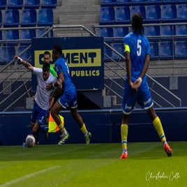 fcsm-2-fc-sens-48-standard.jpg