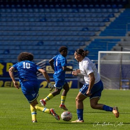 fcsm-2-fc-sens-52-standard.jpg