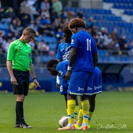 fcsm-2-fc-sens-67-standard.jpg