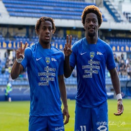 fcsm-2-fc-sens-69-standard.jpg