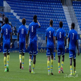 fcsm-2-fc-sens-76-standard.jpg