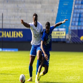 fcsm-2-fc-sens-92-standard.jpg