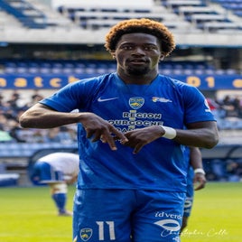 fcsm-2-fc-sens-98-standard.jpg