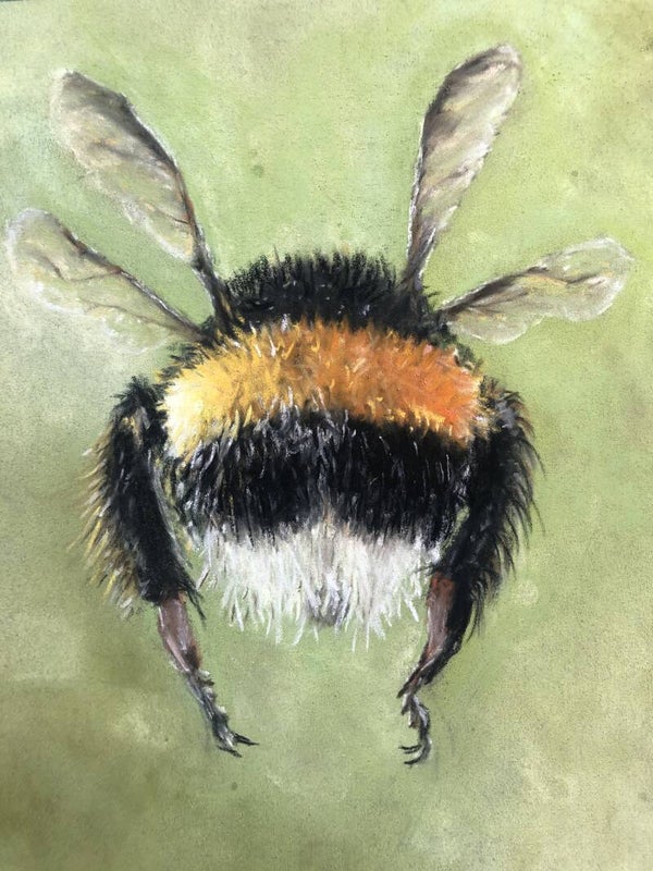 Hommeltje (verkocht)