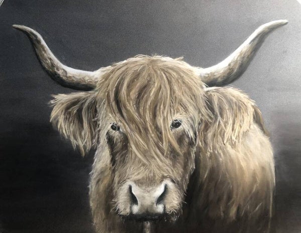 Schotse Hooglander 30x40