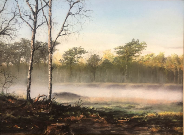 Het blauwe bos Haule 36x49