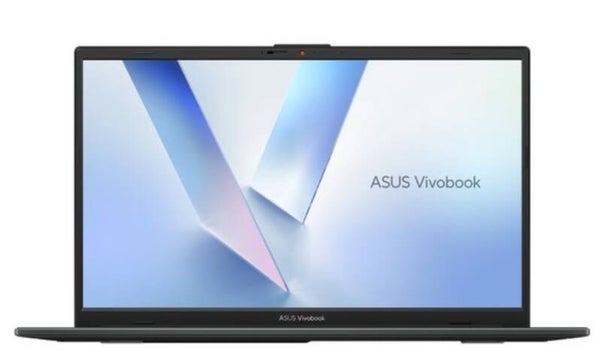 ASUS Vivobook Go 15 IPS Ryzen5 40 8GB 256GB Win11