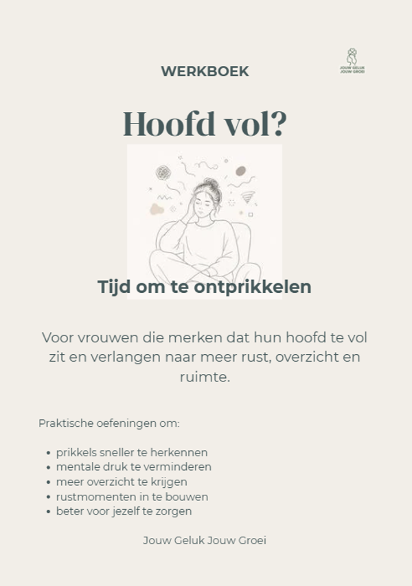 Hoofd vol? Tijd om te ontprikkelen