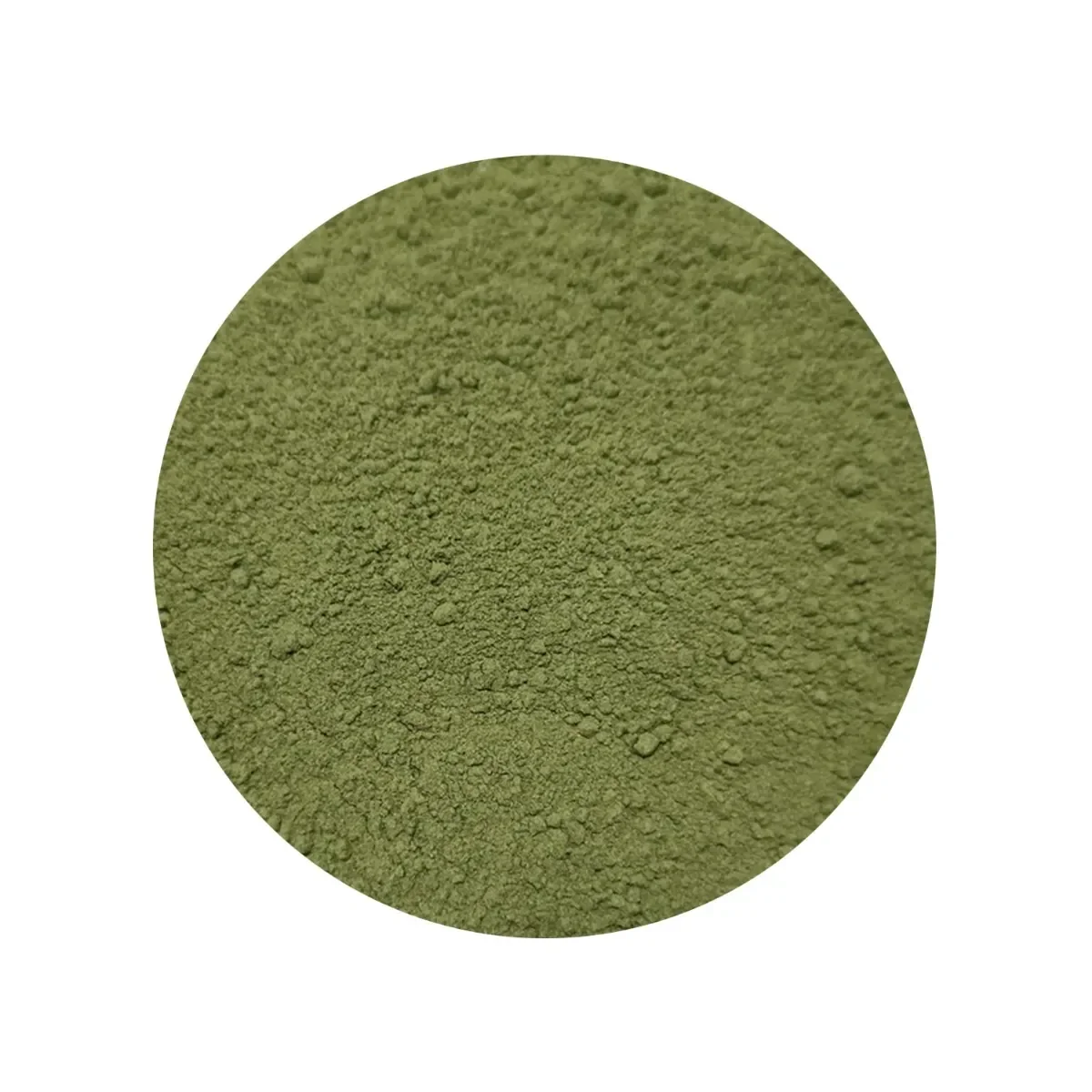 Alfalfa poeder biologisch vanaf 100 gr