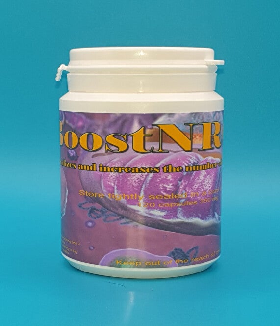 BoostNRGY® 120 capsules 350 mg
