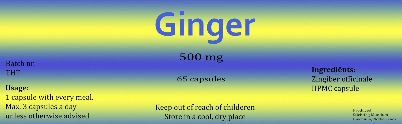 DHC Ginger® capsules 500mg - 65 stuks